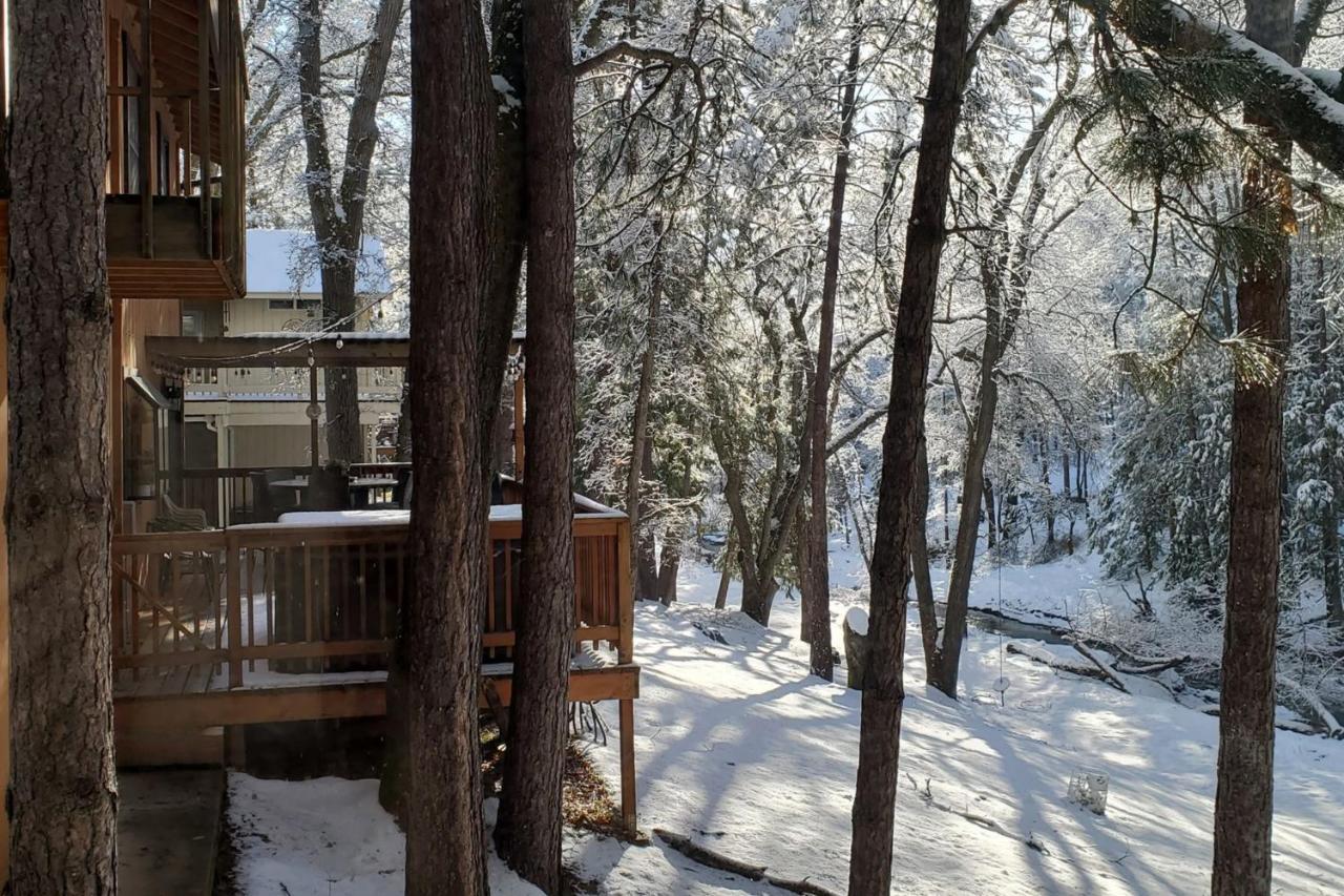 Creekside Cabin Groveland Esterno foto